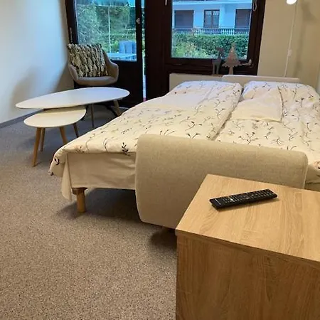 Apartment Saalbacher Real 3 Saalbach-Hinterglemm