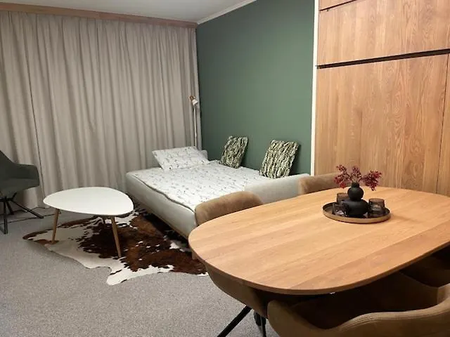 Appartamento Saalbacher Real 3